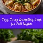 Delicious Curry Dumpling Soup Recipe