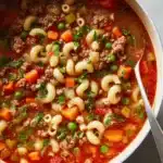 Beef and Macaroni Soup Recipe