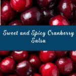 Sweet and Spicy Cranberry Salsa Recipe