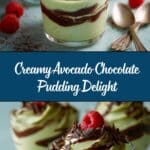 Avocado Chocolate Pudding Recipe