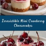 Mini Cranberry Cheesecakes Recipe