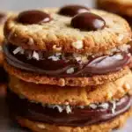 Chocolate Chip Coconut Sandwich Cookies Recipe
