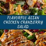 Asian Chicken Cranberry Salad Recipe