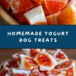Yogurt Dog Treats Recipe