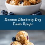 Banana and Blueberry Balls for Dogs Recipe