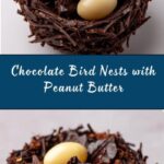 Chocolate Bird Nests Recipe