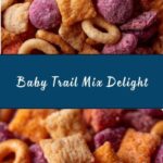 Baby Trail Mix Recipe