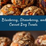Blueberry, Strawberry, and Carrot Balls for Dogs Recipe