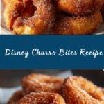 Disney Churro Bites Recipe