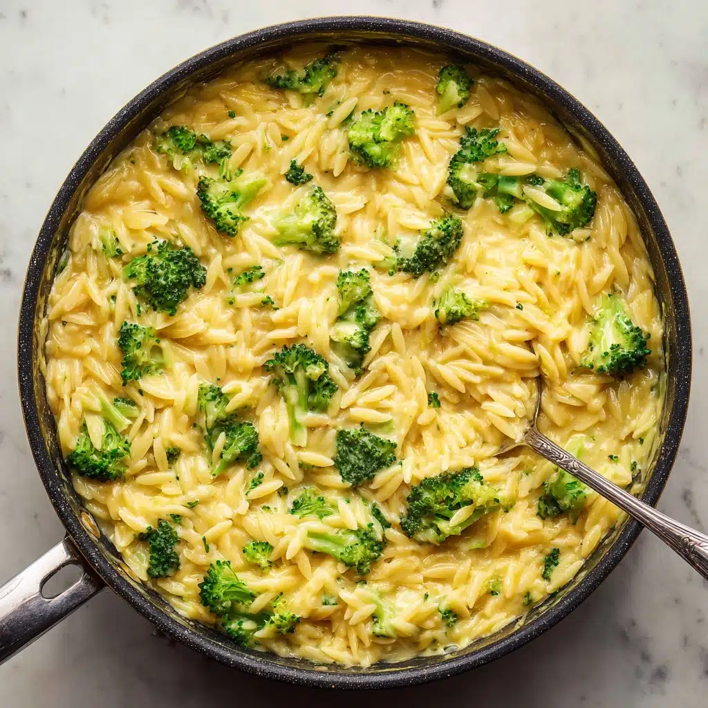 One Pot Broccoli Cheese Orzo Recipe