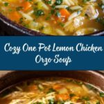 One Pot Lemon Chicken Orzo Soup Recipe