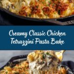 Classic Chicken Tetrazzini Recipe