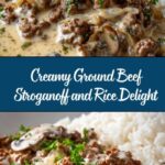 Ground Beef Stroganoff and Rice Recipe