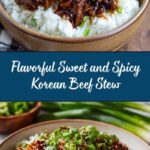 Sweet and Spicy Korean Beef Stew Recipe