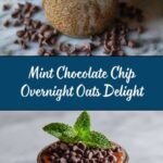 Mint Chocolate Chip Overnight Oats Recipe