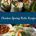 Chicken Spring Rolls Recipe