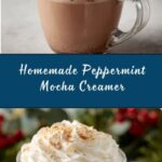 Peppermint Mocha Creamer Recipe