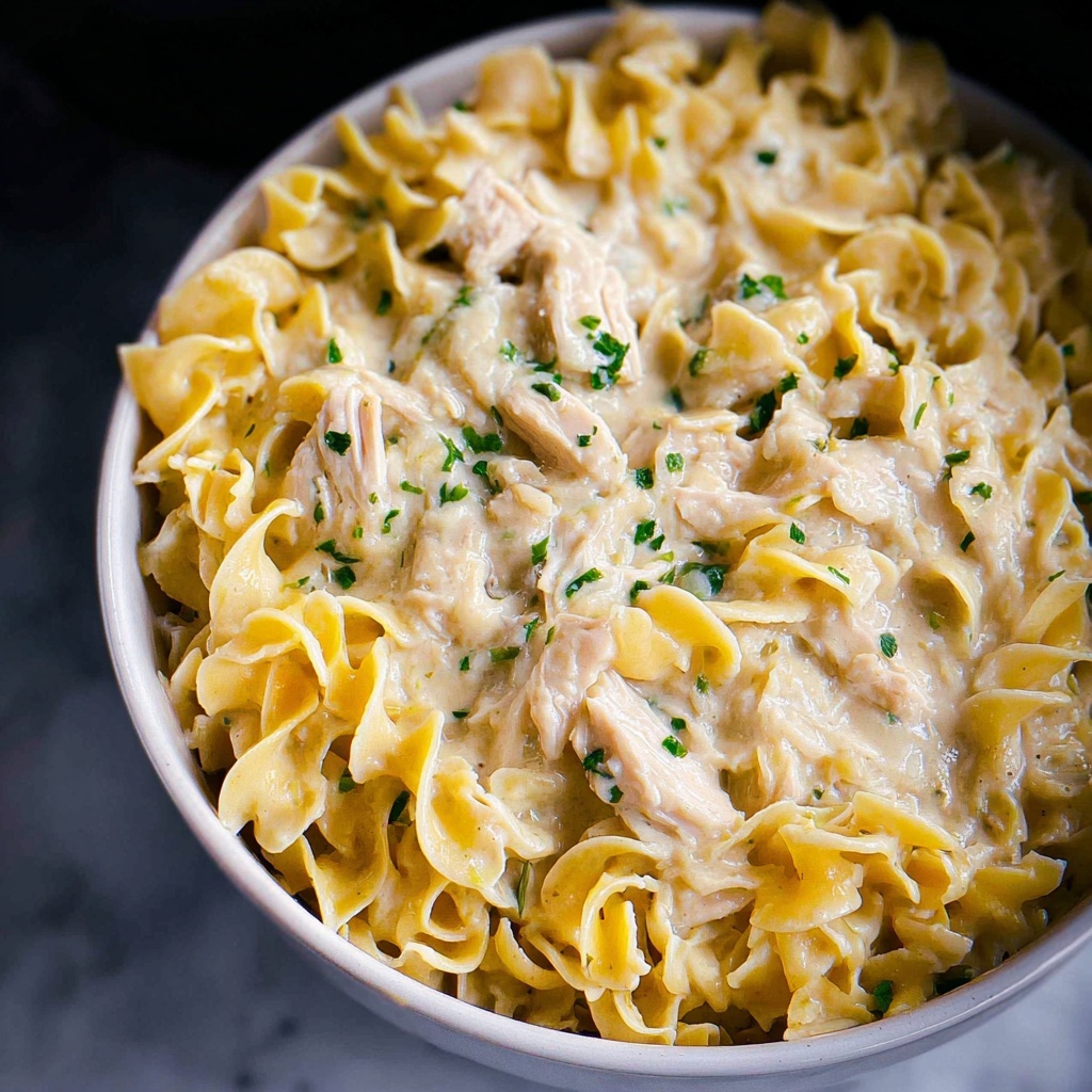 Slow Cooker Chicken and Noodles Recipe - Recipe Image
