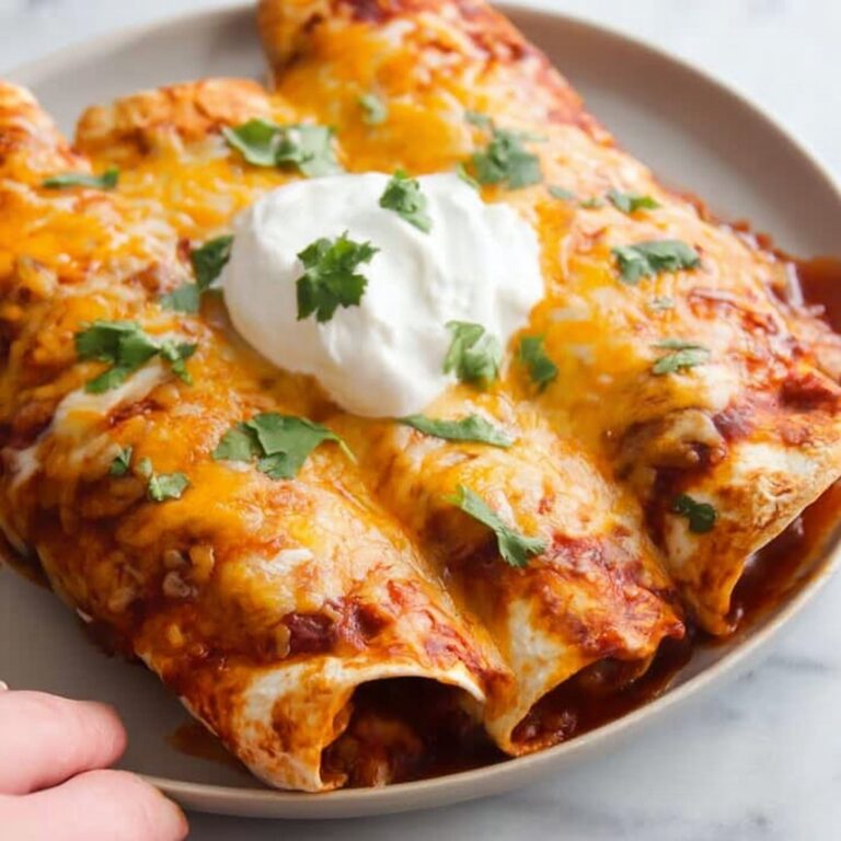 Chicken Enchiladas with Red Sauce Recipe